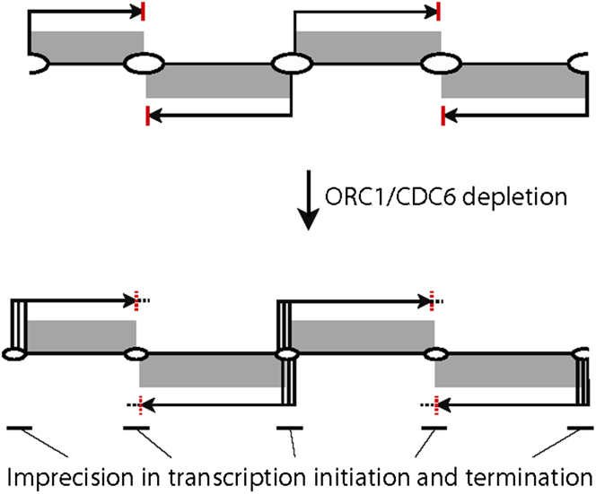 Figure 7