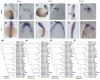 Fig. 8.