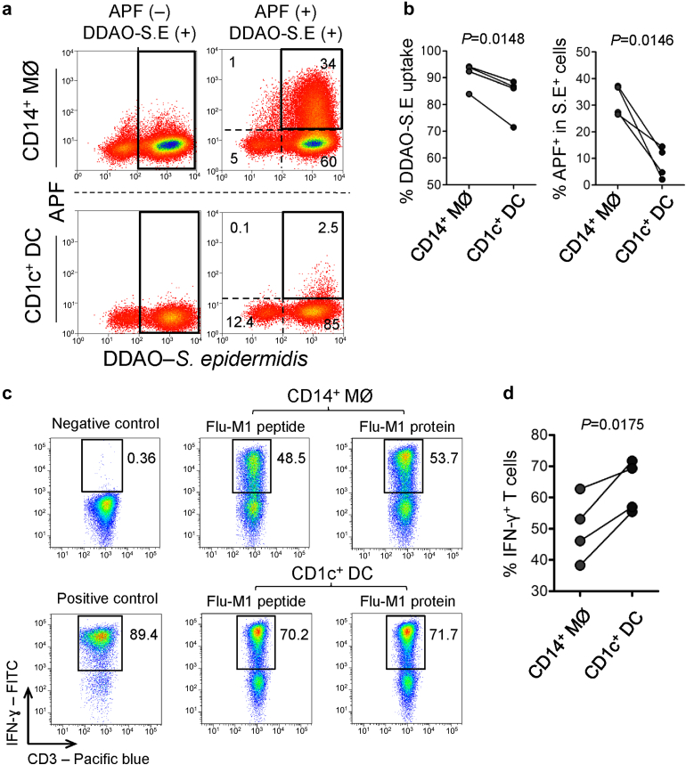 Figure 4