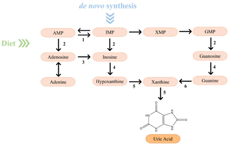 Figure 7