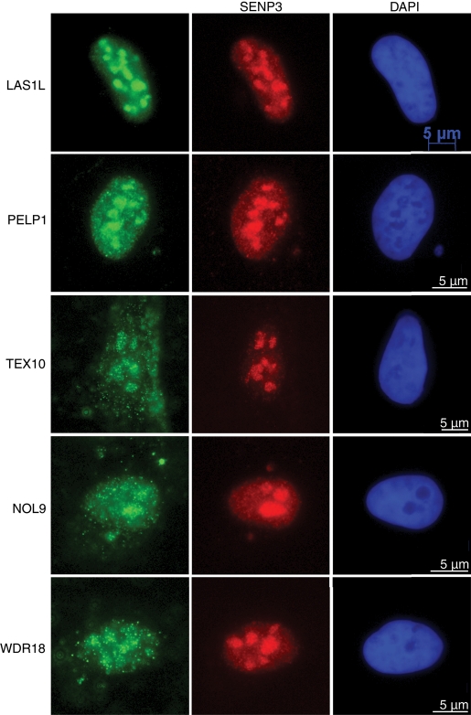 FIGURE 4: