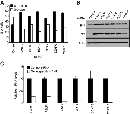 FIGURE 3: