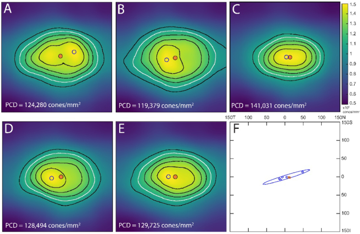 Fig. 2.