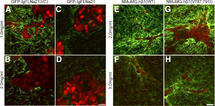 Figure 9.