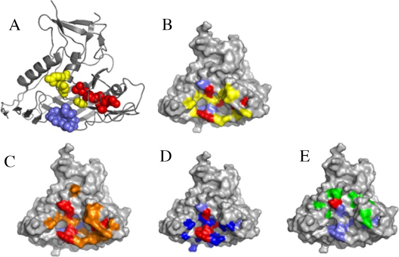 Figure 9