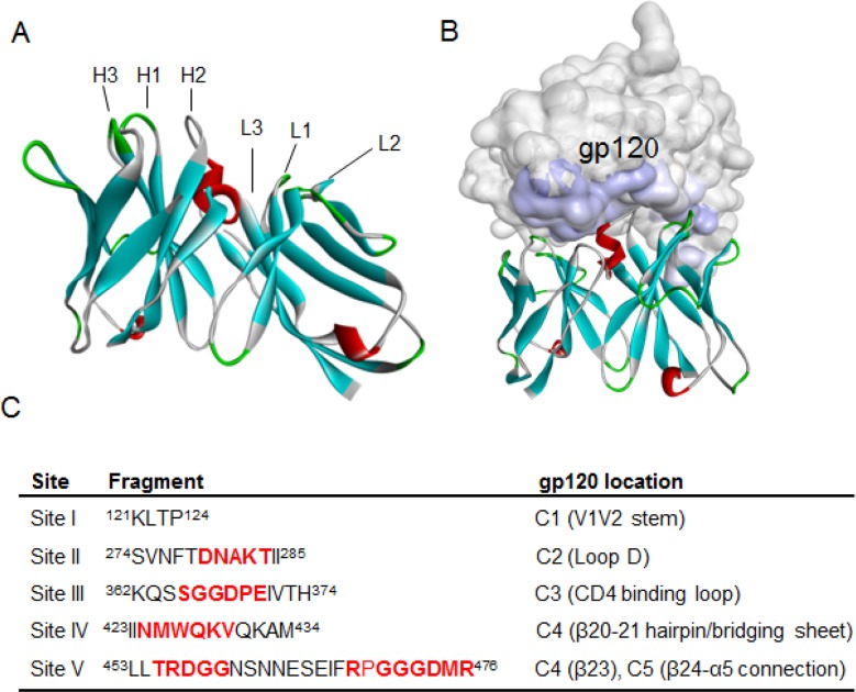 Figure 6