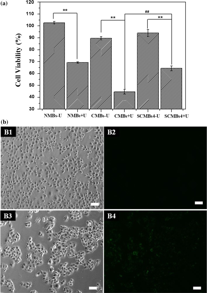 Figure 7