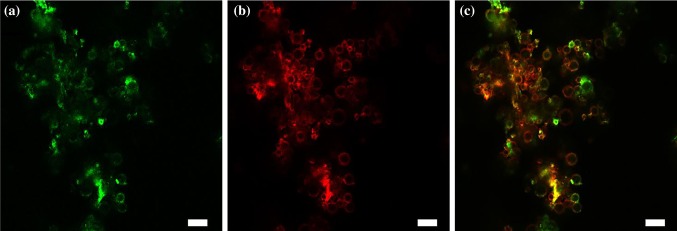 Figure 6