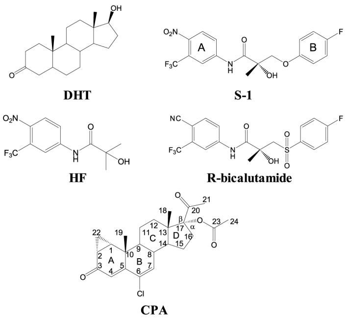 FIGURE 1