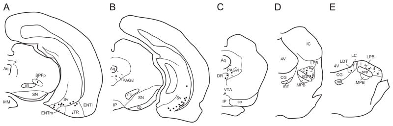 Fig. 8