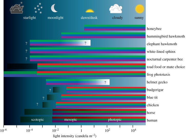 Figure 3.