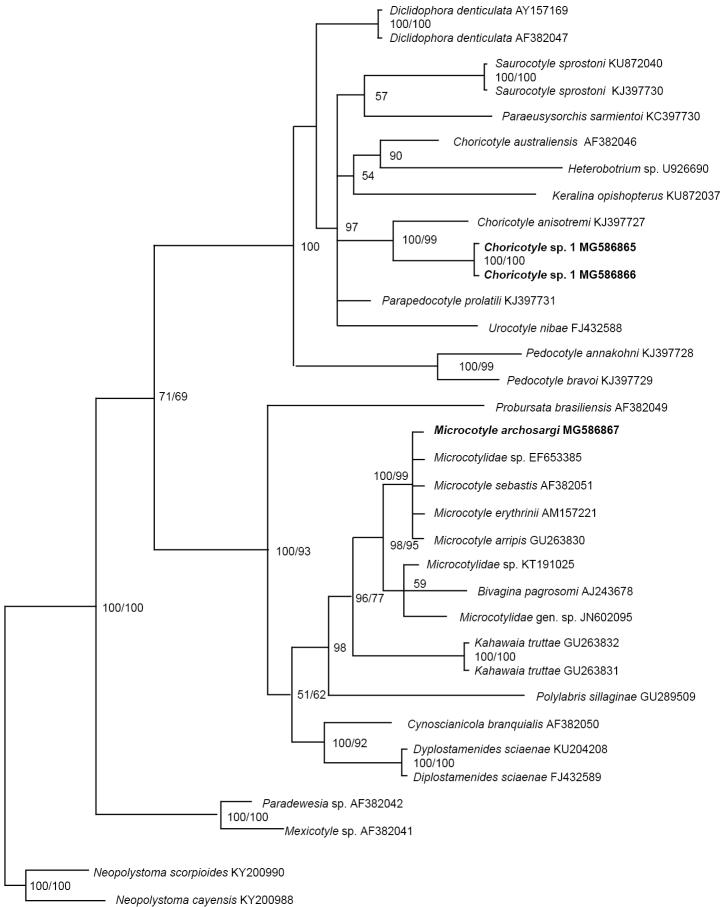 Figure 6.