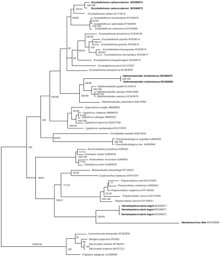 Figure 1.