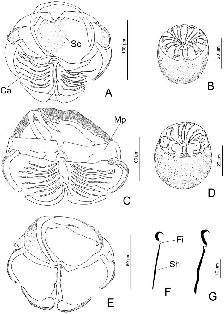 Figure 7.