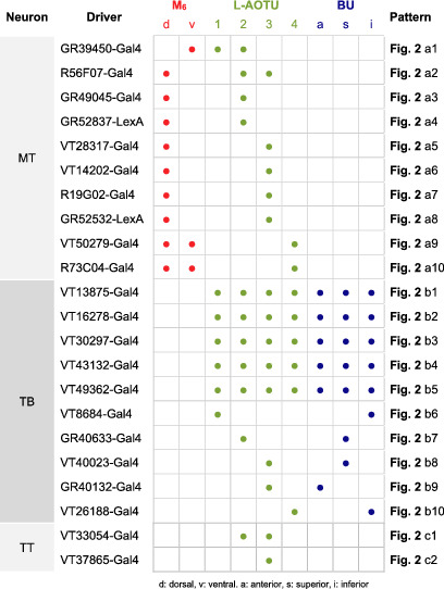 tabular image