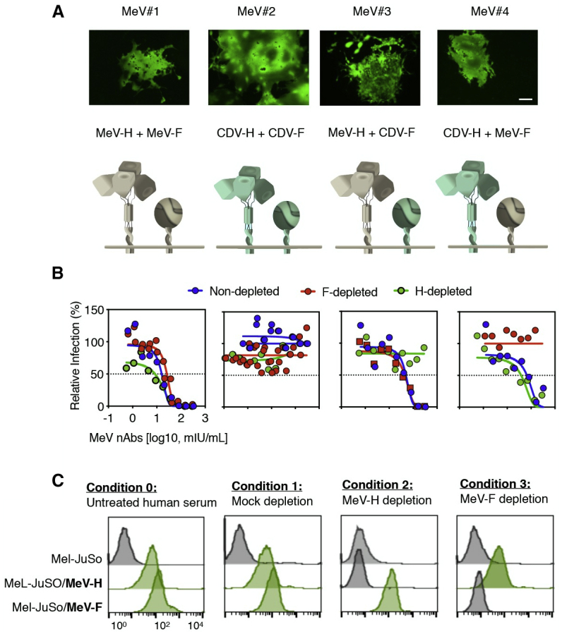 Figure 2