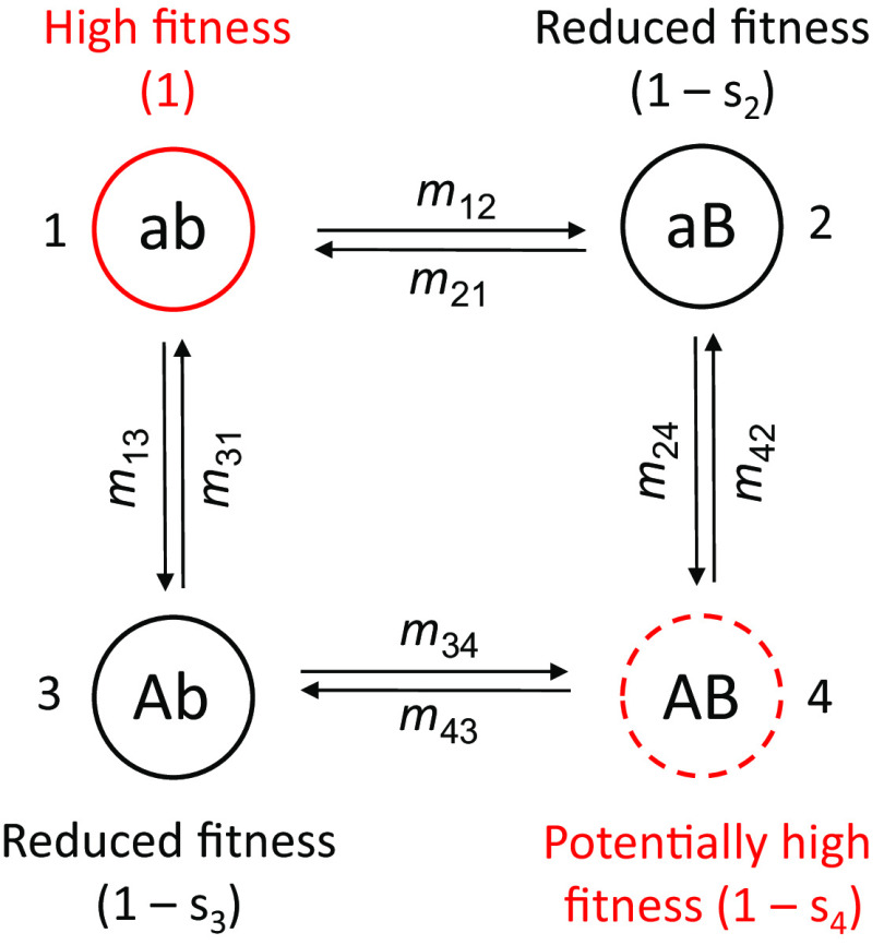 Fig. 1.