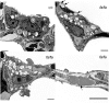 Fig. 2.