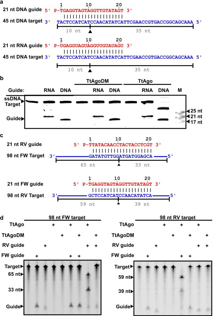 Extended Data Figure 3