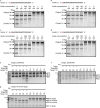 Extended Data Figure 4