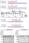 Extended Data Figure 3