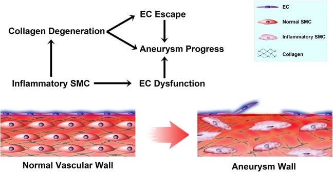 Fig. 6.