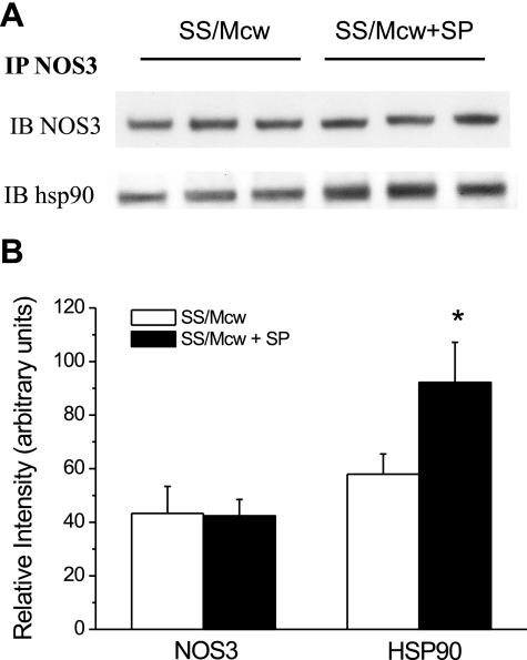 Fig. 9.