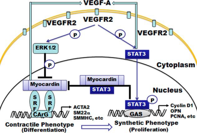 FIGURE 7.