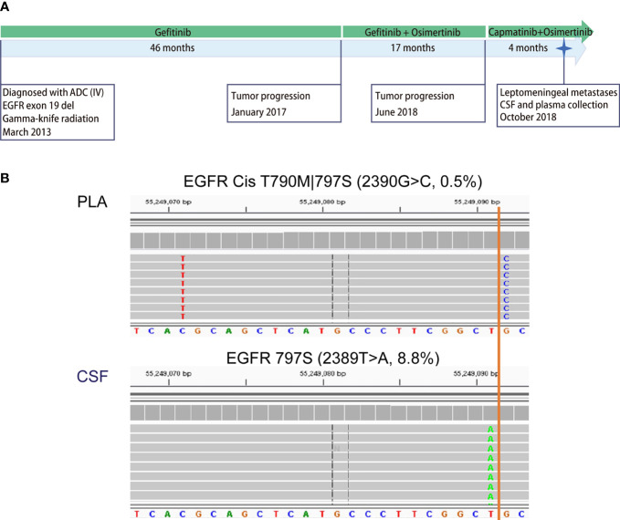 Figure 4