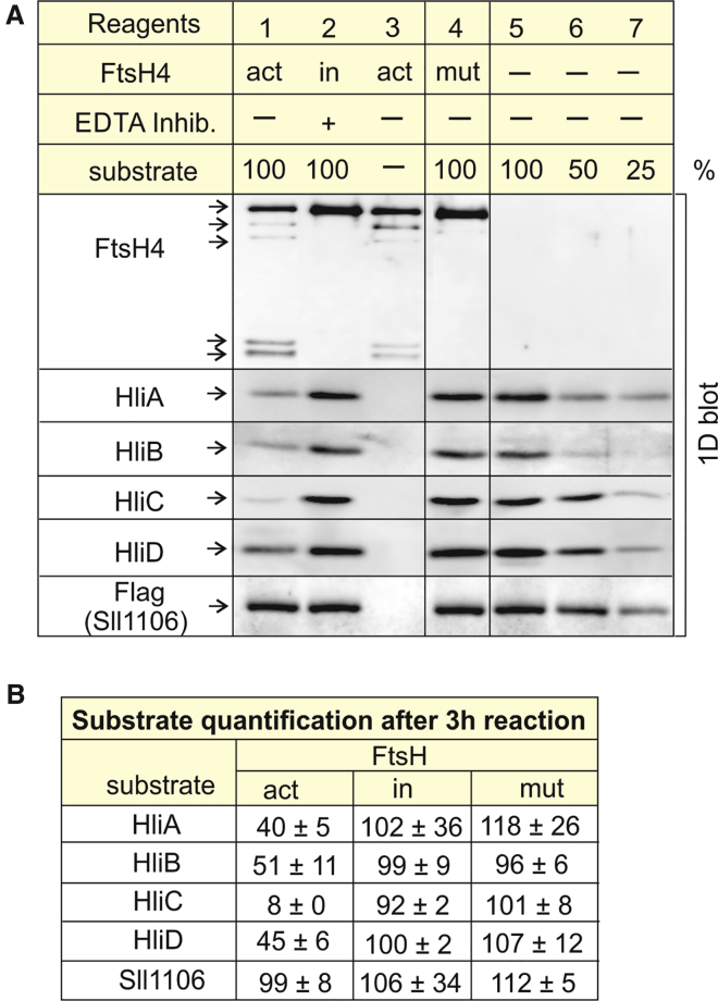 Figure 4