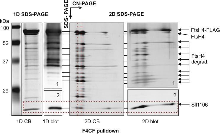 Figure 5