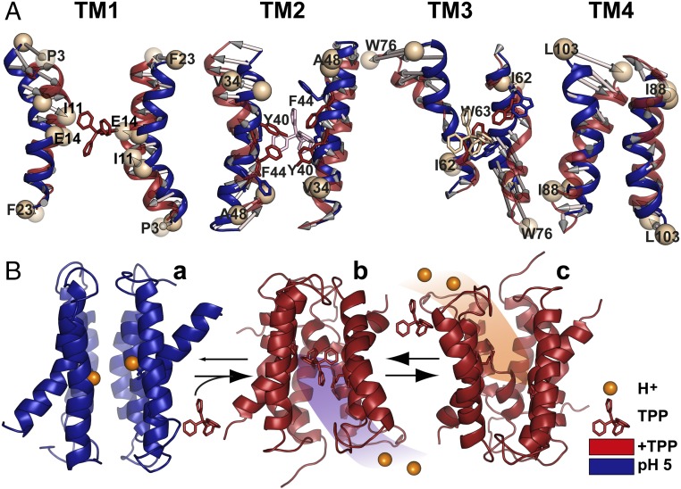 Fig. 6.