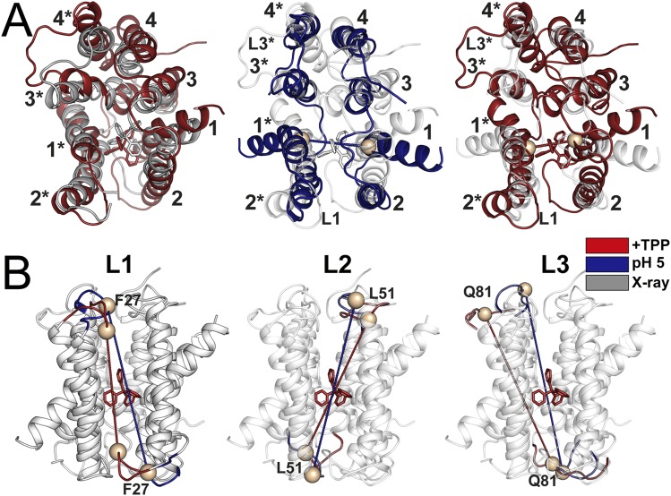 Fig. S6.