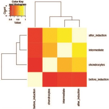 Fig. 7 (abstract P34).