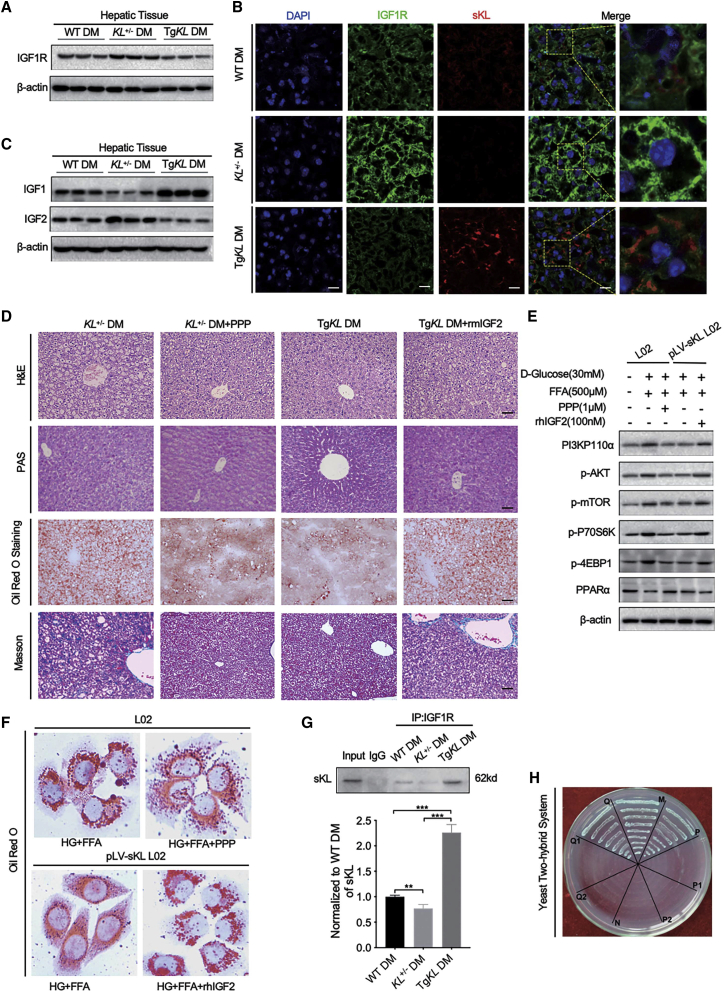 Figure 6