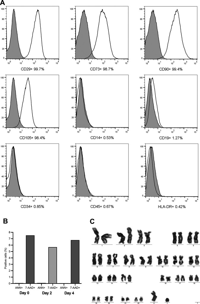 Fig. 2.