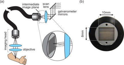 Fig. 4