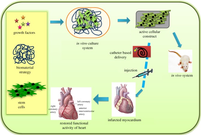 Figure 6.