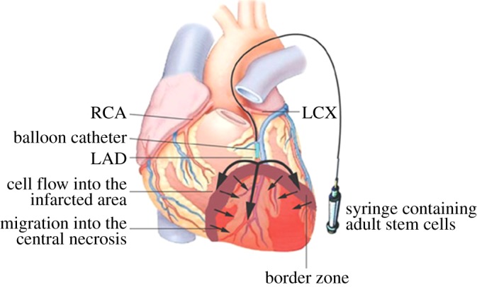 Figure 3.