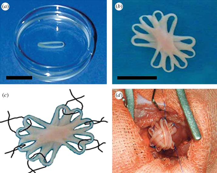 Figure 4.