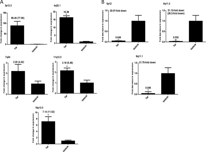 FIG 2