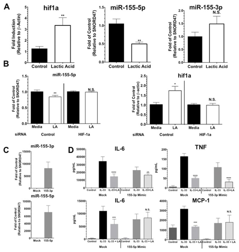 Lactic Acid Suppresses IL-33-mediated Mast Cell Inflammatory Responses ...