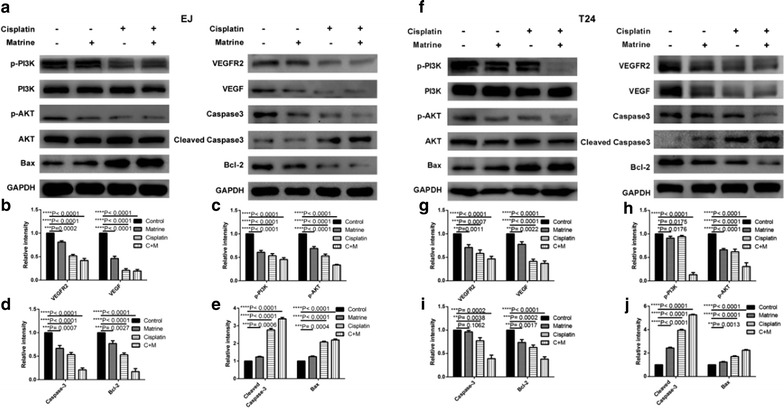 Fig. 7