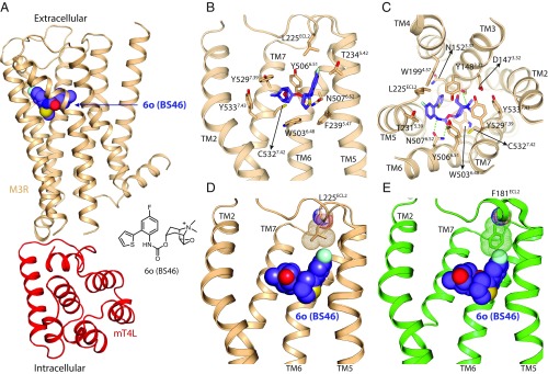 Fig. 4.