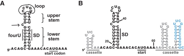 FIGURE 1.