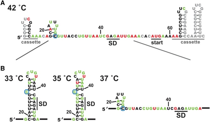 FIGURE 4.