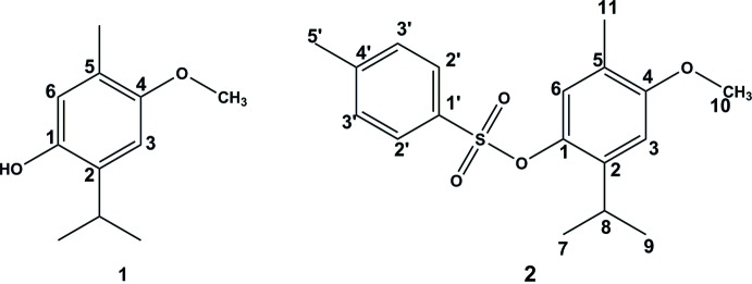 graphic file with name e-74-00419-scheme1.jpg