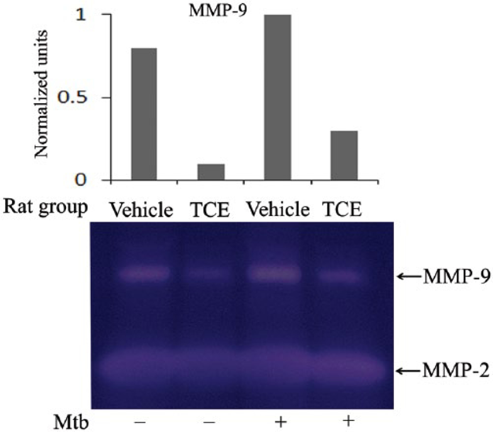 Figure 6.