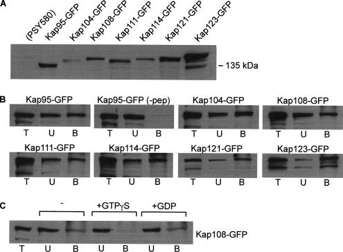 Figure 10.