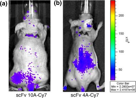 FIGURE 4